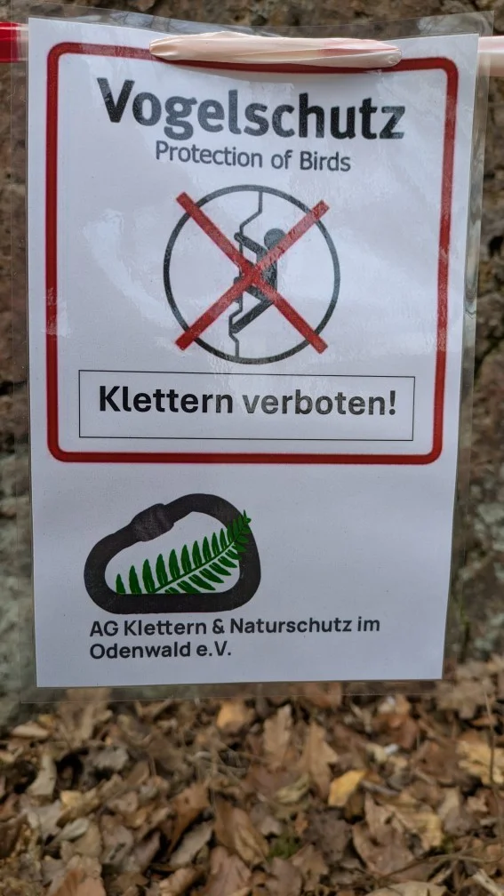 © Thomas Höhr