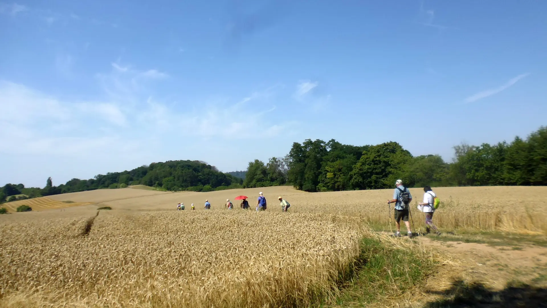 Donnerstagswanderung | © A.Lücker 