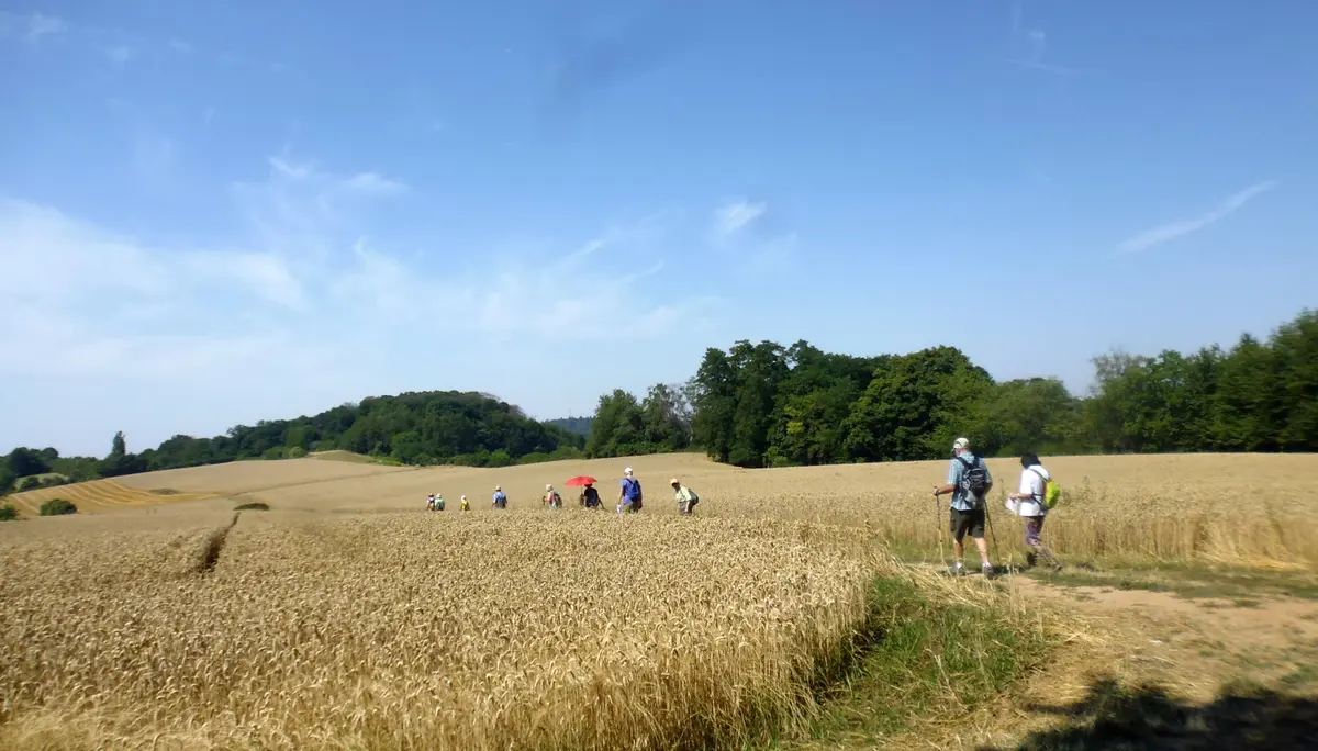 Donnerstagswanderung | © A.Lücker 