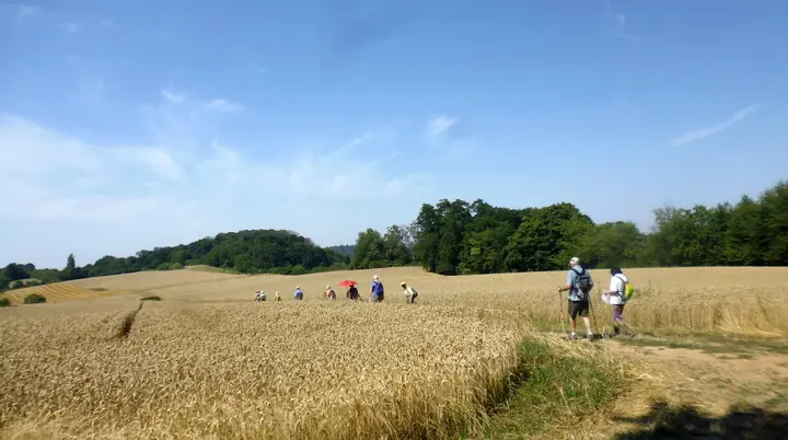 Donnerstagswanderung | © A.Lücker 