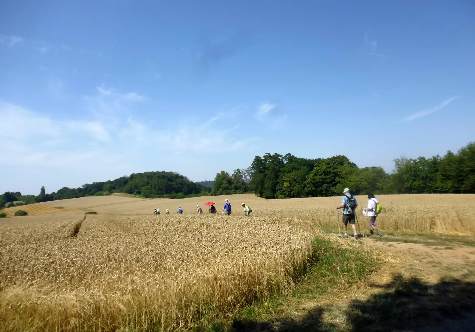 Donnerstagswanderung | © A.Lücker 