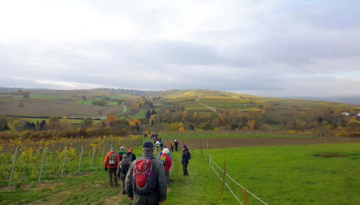 Mittwochswanderung-1 | © A.Lücker