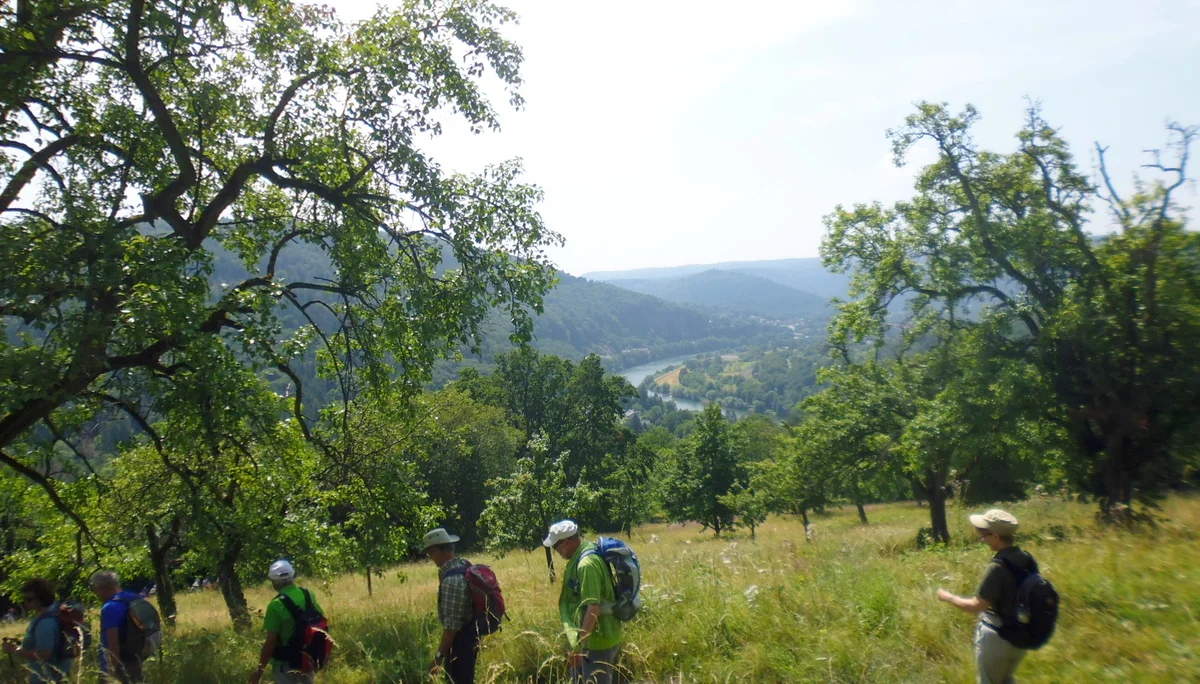 Mittwochswanderung-4 | © A.Lücker