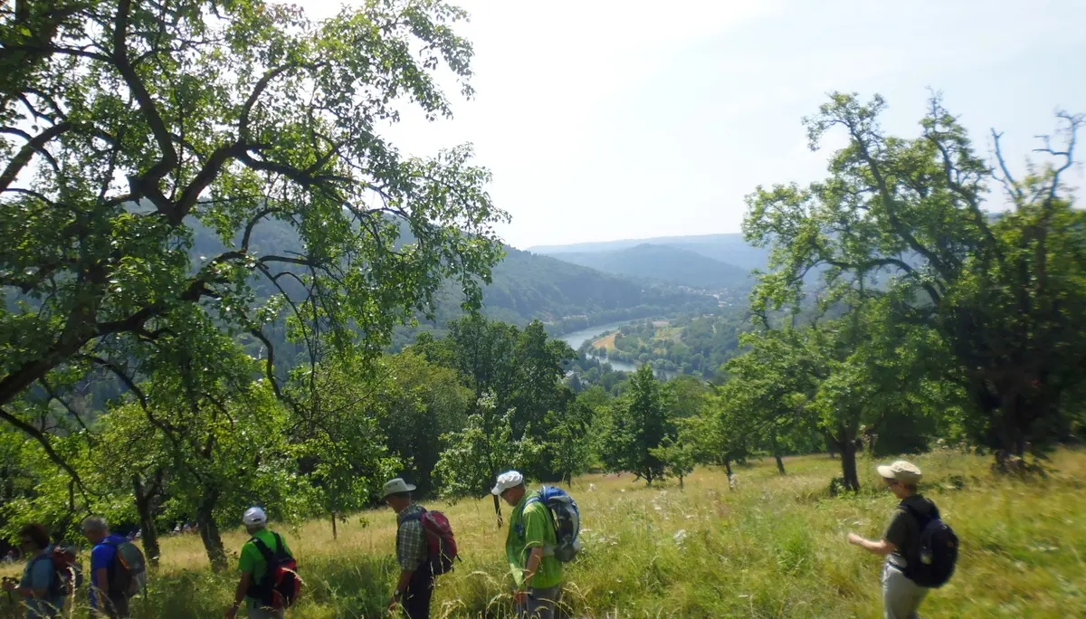 Mittwochswanderung-4 | © A.Lücker