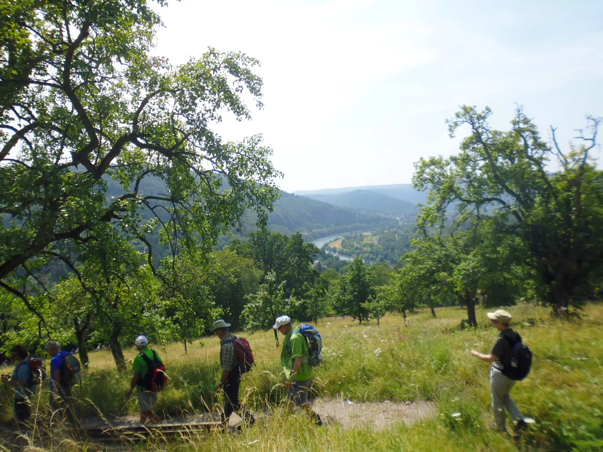 Mittwochswanderung-4 | © A.Lücker