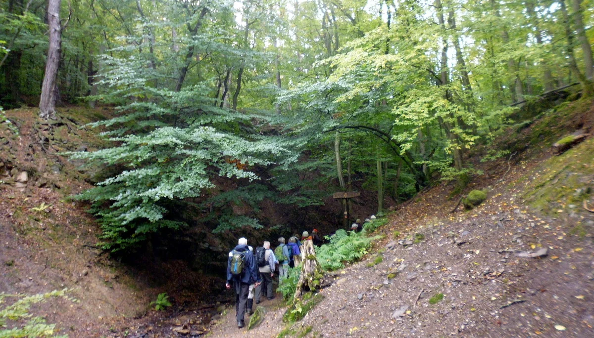 Sonntagswanderung -25-2 | © A.Lücker