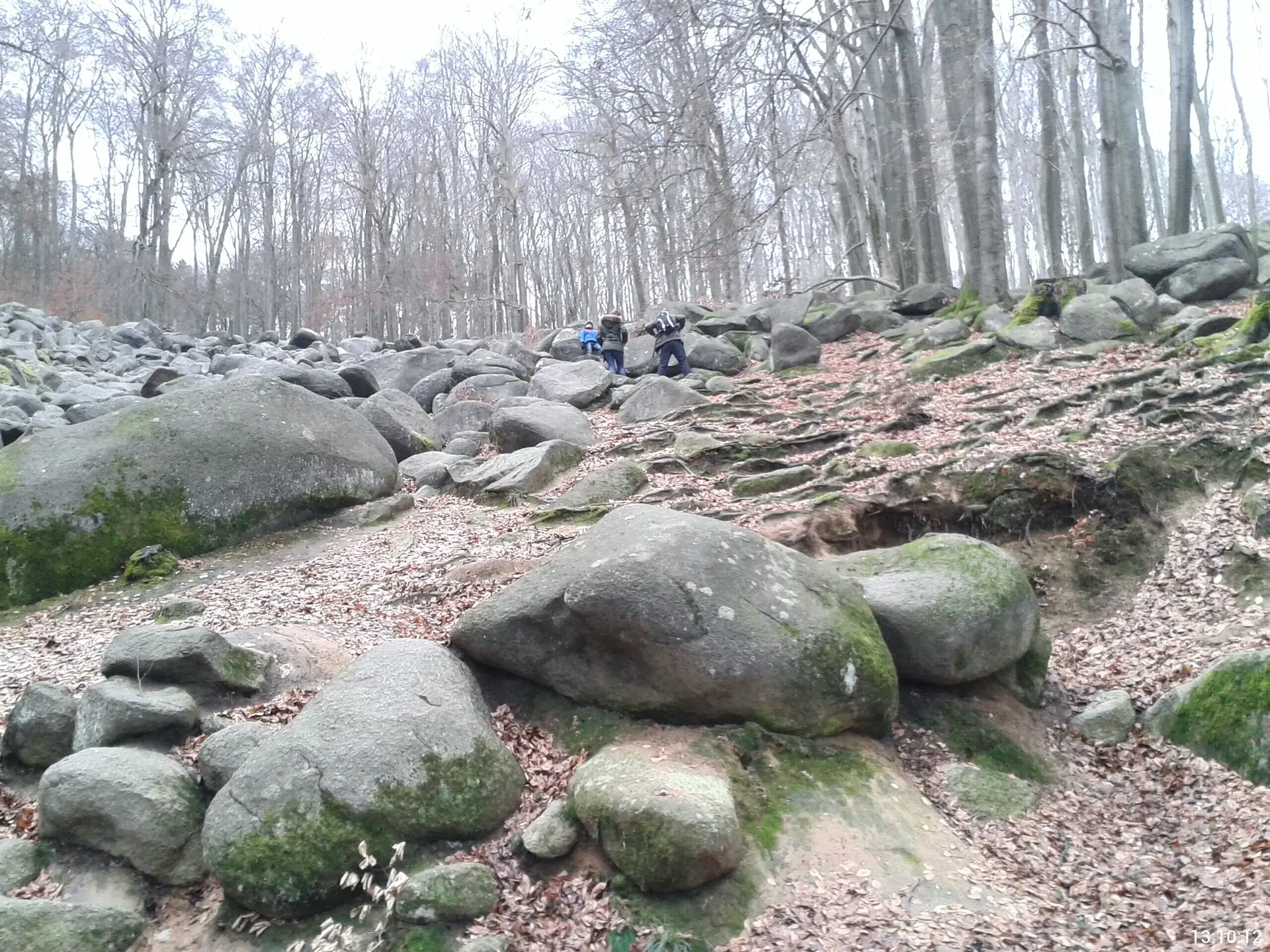 © Joachim Schneider