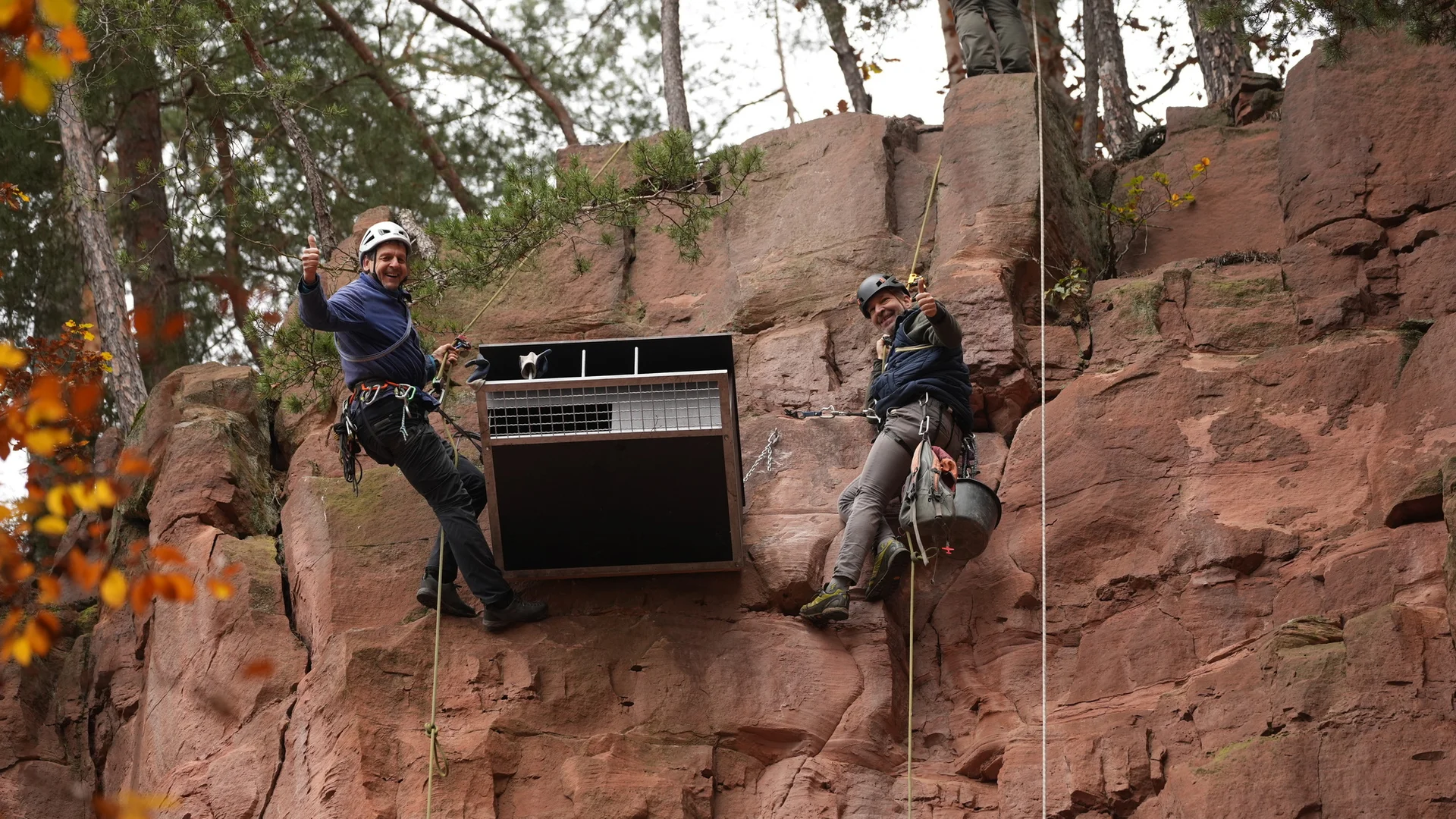 Harald Steiger und Thorsten Seemüller von den Kletterfreunden Odenwald nach der Montage des Nistkastens | © Harald Bauer /bauerfoto.de