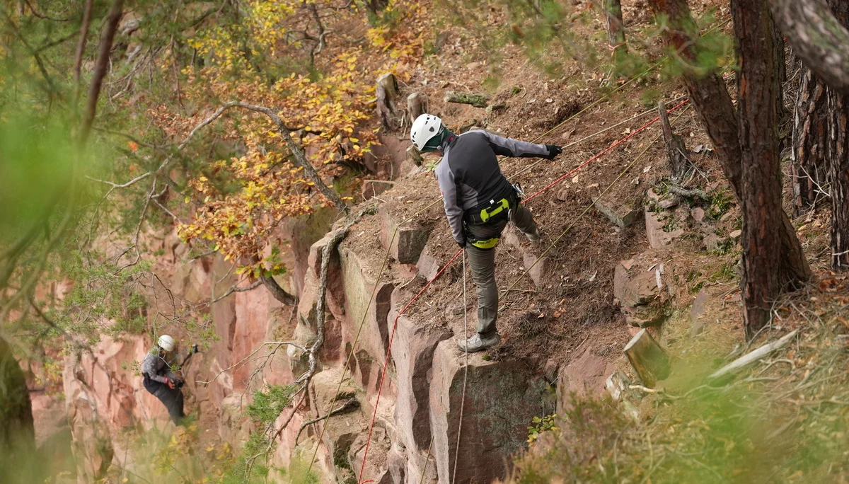 © Harald Bauer /bauerfoto.de