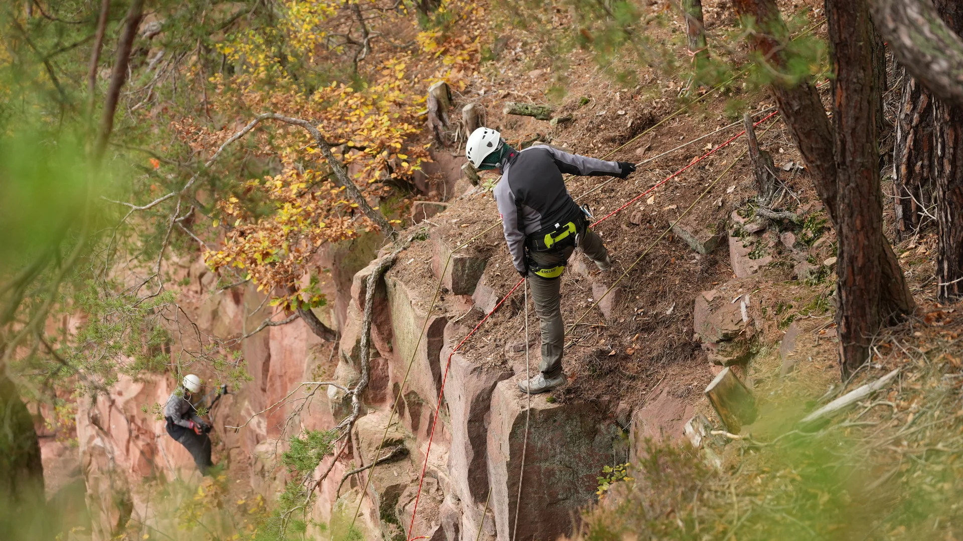 © Harald Bauer /bauerfoto.de