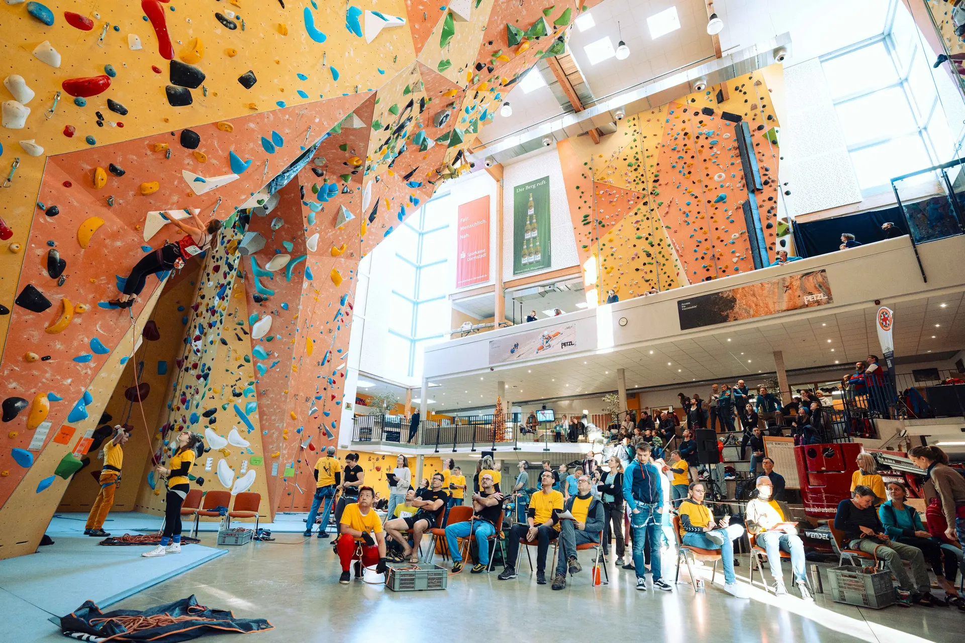 © Adrian Noltemeier