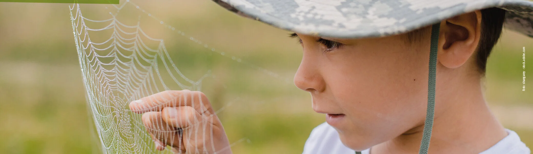 Raus ins echte Leben im Sommer | © Shangaray / Adobe Stock